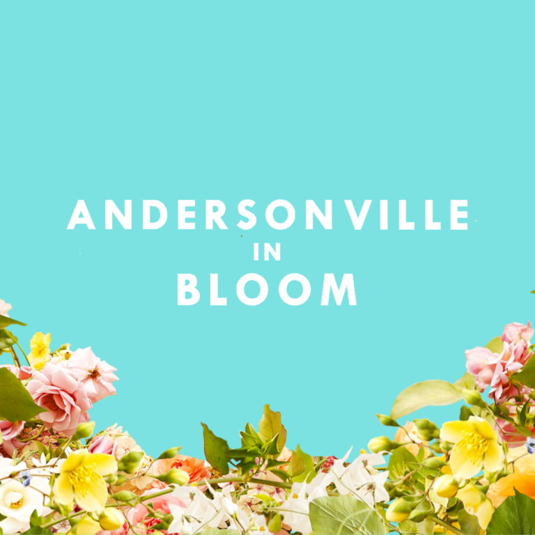 Events - andersonville